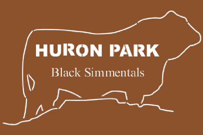 Huron Park Black Simmentals Online Bull Sale