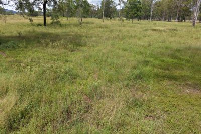 “Valley Run”  Nagoorin