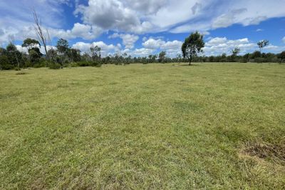 “Valley Run”  Nagoorin