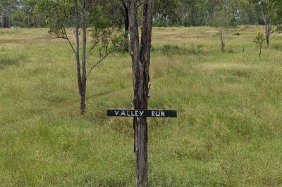 “Valley Run”  Nagoorin