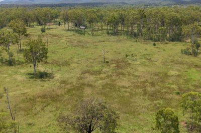 “Valley Run”  Nagoorin