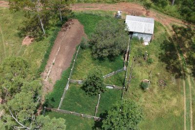 “Valley Run”  Nagoorin