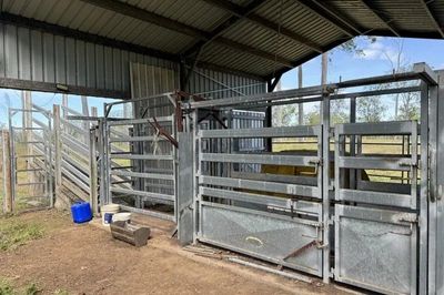 “Valley Run”  Nagoorin