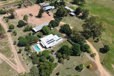 MON-ABRI, 10,000 acres DINGO