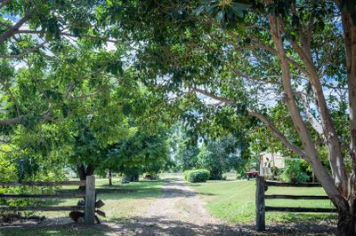 MON-ABRI, 10,000 acres DINGO