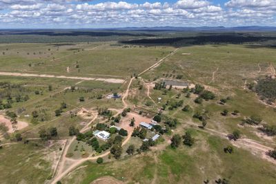 MON-ABRI, 10,000 acres DINGO
