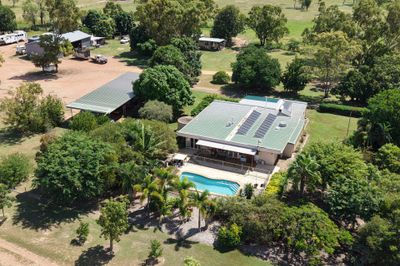 MON-ABRI, 10,000 acres DINGO