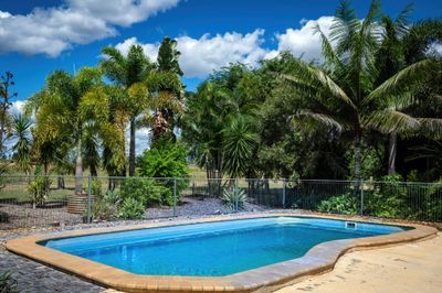 MON-ABRI, 10,000 acres DINGO