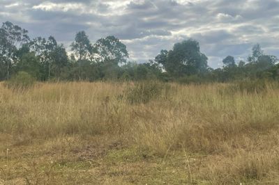 1467 TABLELAND ROAD, CALLIOPE