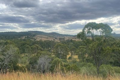1467 TABLELAND ROAD, CALLIOPE