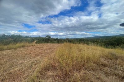 1467 TABLELAND ROAD, CALLIOPE