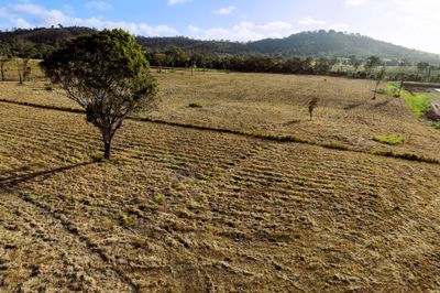 15 Acres, 145 Tahlia Court, Yeppoon