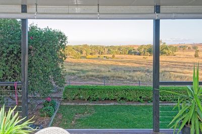 Emu Farm