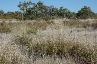 FLAT TOP STATION CLONCURRY