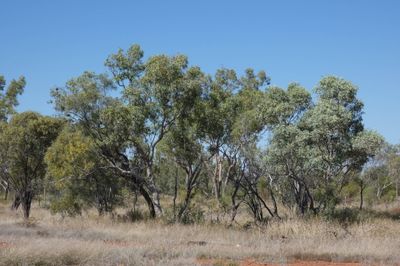 FLAT TOP STATION CLONCURRY