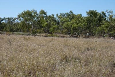FLAT TOP STATION CLONCURRY
