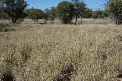 FLAT TOP STATION CLONCURRY