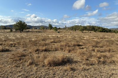 AFFORDABLE LIFESTYLE PROPERTY - ROCKHAMPTON