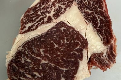 69 - F1 Angus/Wagyu Cows & Calves