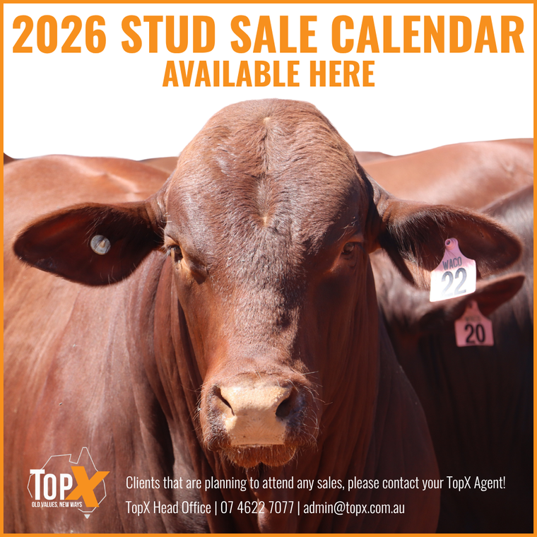 2026 Stud Sale Calendar
