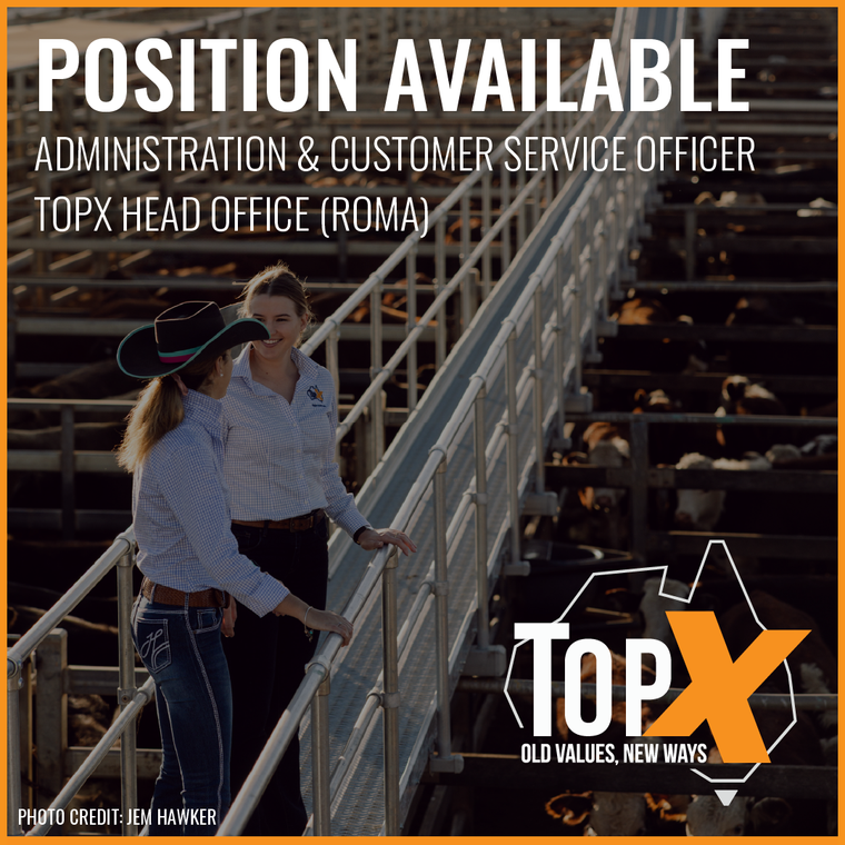 Head Office Position Available