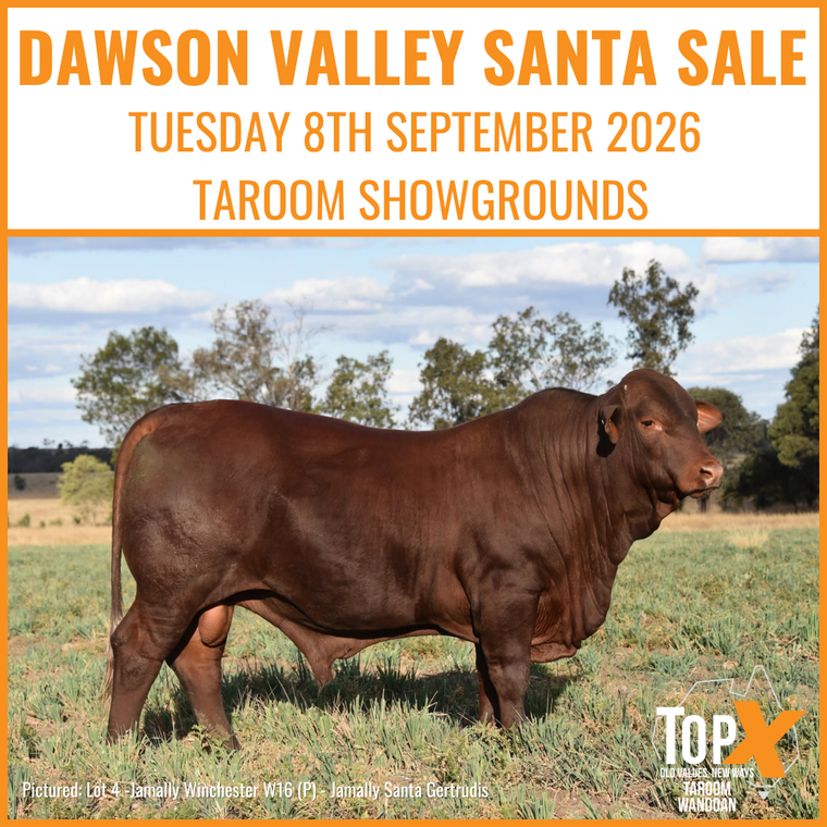 Dawson Valley Santa Sale