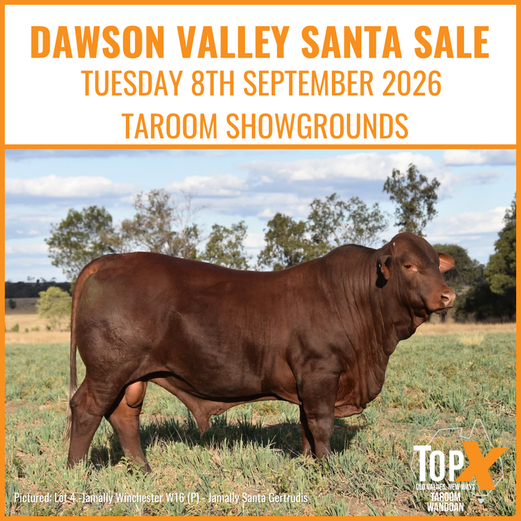 Dawson Valley Santa Sale
