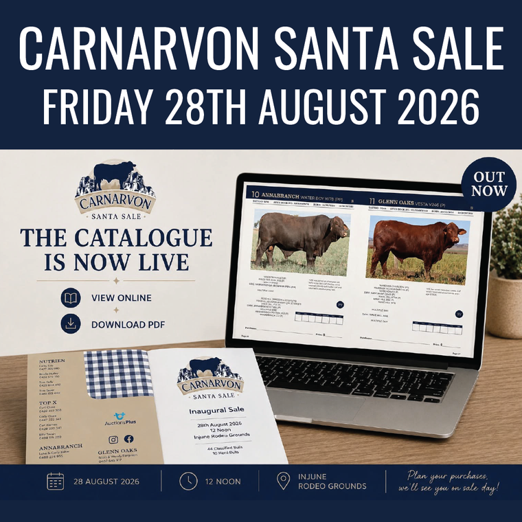 Carnarvon Santa Sale