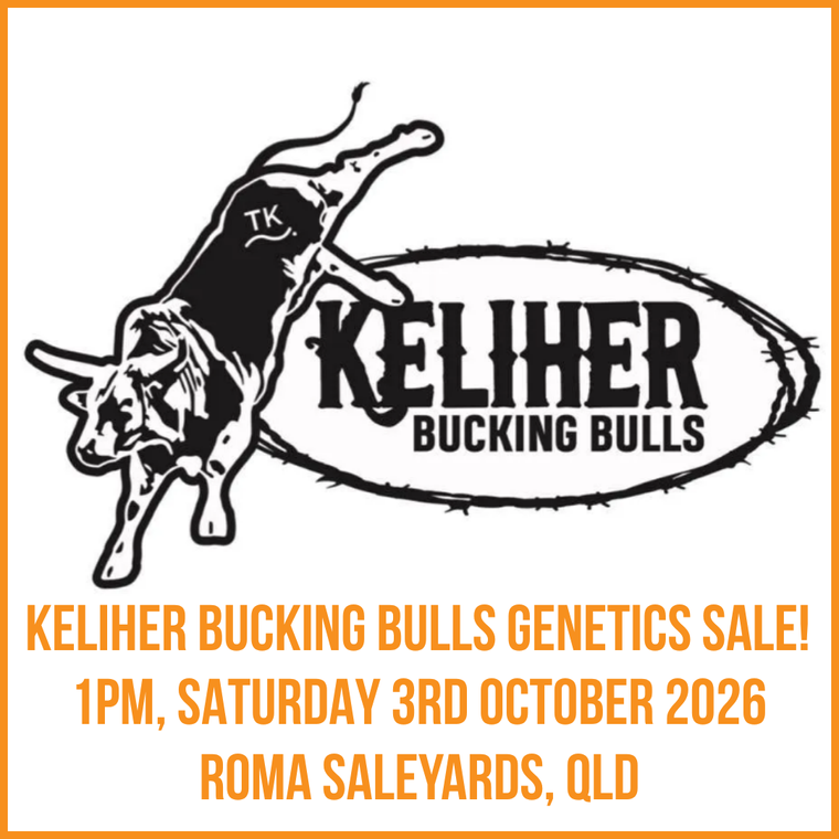 Keliher Bucking Bulls Genetic Sale