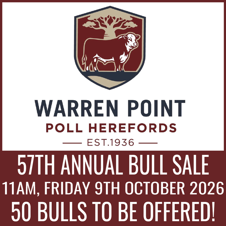 Warren Point Poll Hereford Bull Sale